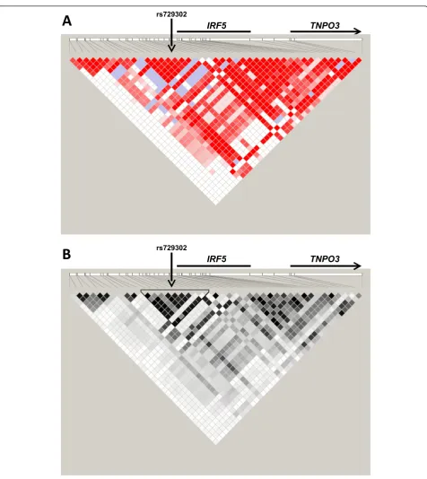 Figure 2 IRF5healthy controls are represented. Ten additional single-nucleotide polymorphisms (SNPs) were excluded because of low minor allele frequency(<2%) or complete redundancy with other SNPs (see Results)