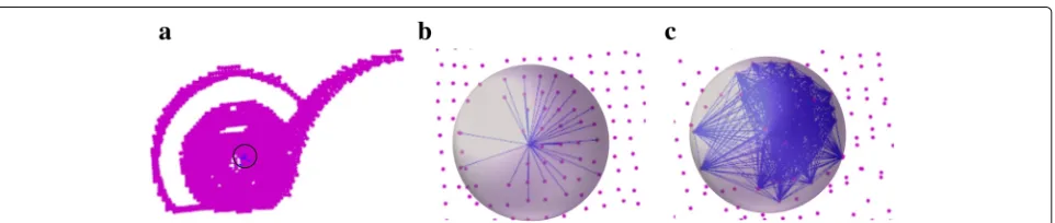Fig. 11 Constructing a local “nodes within a sphere of radius (complete graph.” a Point cloud of the object