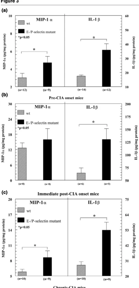 Figure 3nificantly different between E-selectin and E/P-selectin mutantmice (P = 0.23 for E-selectin versus E/P-selectin).