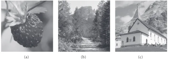 Figure 1: The three watermarked signals provided by the organization.