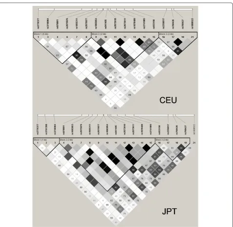 Figure 1 Haplotype blocks described in the region Chr21:44529072..44541978 of the HapMap Project in the CEU and the JPTpopulations