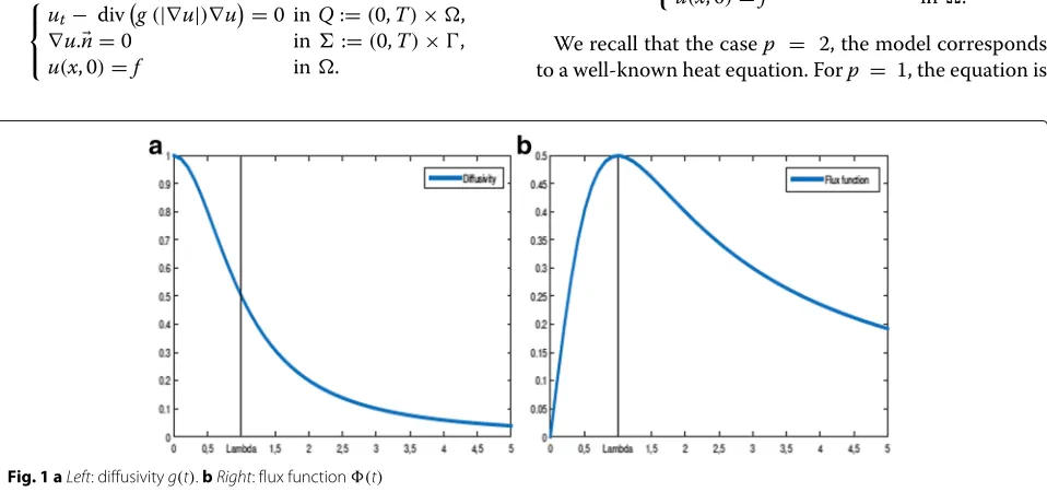 Fig. 1 a Left: diffusivity g(t). b Right: flux function �(