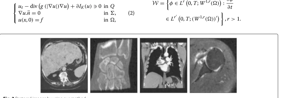 Fig. 2 Images corrupted by Gaussian noise with zero mean and variance σ 2 = 0.025