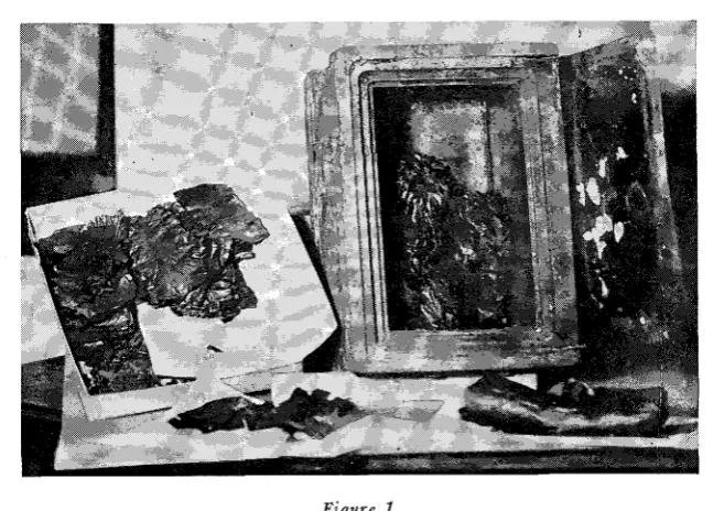 Figure 1A Strong Box of and John its Charred Contents as F. Tyrrell, Recovered from a Fire"Decipherment of Charred Documents"