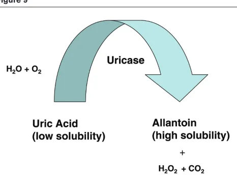Figure 8Figure 9
