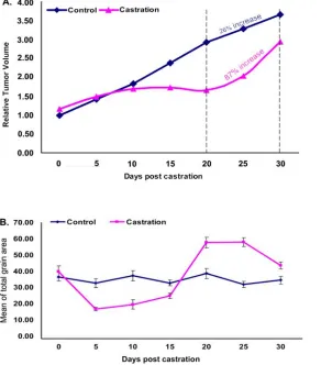 Figure 1.  Response of LNCaP castration. 