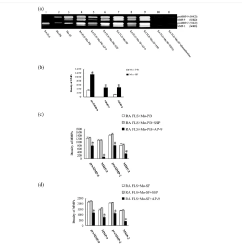 Figure 3Gelatin zymography of culture medium conditioned by fibroblast-like synoviocytes (FLS) and monocytes/macrophagesGelatin zymography of culture medium conditioned by fibroblast-like synoviocytes (FLS) and monocytes/macrophages