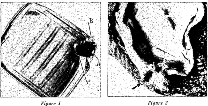Figure 1Figure 2