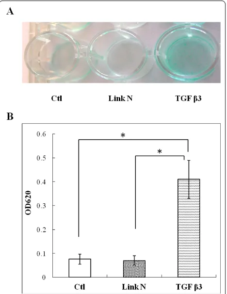 Figure 6 Effect of Link N on mineral deposition bymesenchymal stem cells (MSCs) in osteogenic differentiationmedium