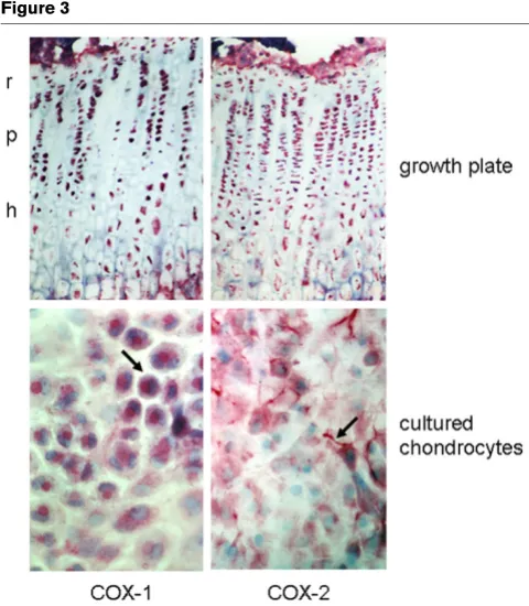 Figure 3Figure 4