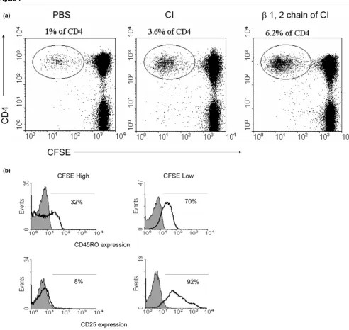 Figure 1T-Cell Proliferation to C1. (a) Peripheral blood mononuclear cell proliferation monitored using carboxy-fluorescein diacetate, succinimidyl ester T-Cell Proliferation to C1