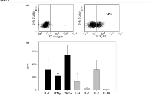 Figure 3Th1 polarisation of type I collagen (CI)-responsive T-cell lines. Cytokine expression of T-cell lines was determined by intracellular (IC) staining of Th1 polarisation of type I collagen (CI)-responsive T-cell lines