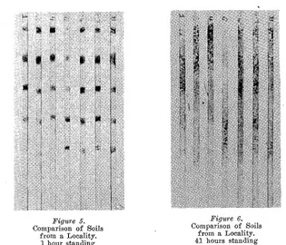 Figure 4 shows the photographicThe sample labelled "J" is the