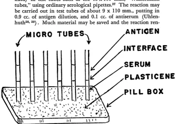 Fig. 2. Diagrammatic representation of set-up for the Precipitin Test.