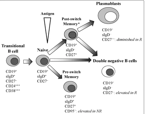 Figure 4 Model of B-cell differentiation (adapted from [10,12,16]). *All patients with rheumatoid arthritis (RA) had significantly fewer CD38+post-switch B cells in comparison with healthy age-matched controls