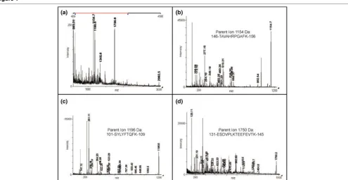 Figure 1Proteomic identification of c19orf10Proteomic identification of c19orf10. Tandem mass spectrum of c19orf10 parent ion 1,154 Da, 146-TAVAHRPGAFK-156