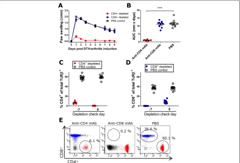 Figure 4 The delayed-type hypersensitivity (DTH)-arthritis inflammatory response is dependent on CD4CD49 after arthritis induction