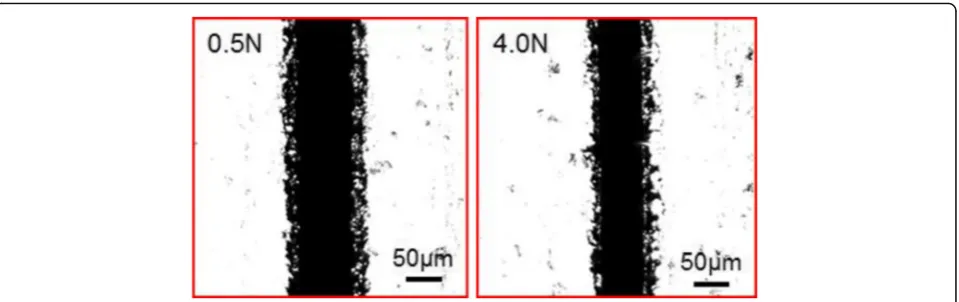 Fig. 4 Wire shape difference under wire tension 0.5 and 4.0 N