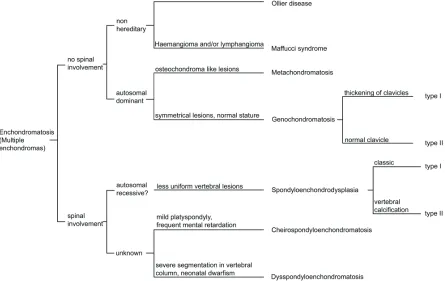 Figure 1. Enchondromatosis sub-types. Classification diagram for patients with multiple enchondromas based on spinal involvement and genetic transmission