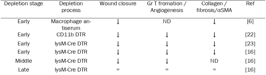 Table 1. Impact of macrophages depletion strategy on wound healing 