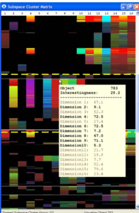 Figure 5: User Interface for a Subspace Clusters Matrix: By pointing on individual objects additional information about the cluster is visualized