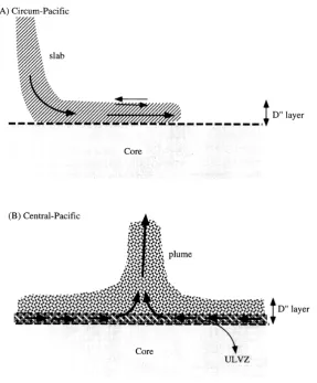 Fig. 3. Cartoon showing the ﬂow pattern in the D” layer. (A) In the D” in the circum-Paciﬁc, the ﬂow pattern is governed by the collision with subductingcold materials with the core-mantle boundary