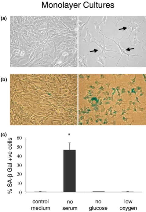 Figure 2Figure 3