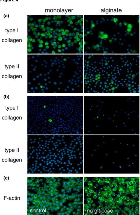 Figure 4in monolayer and alginate culture systems, are summarised inTable 1. The minimal influence of oxygen levels on IVD cell