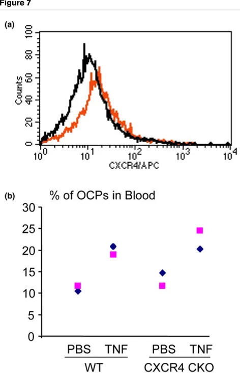 Figure 7CKO mice (Figure 7a), suggesting a low excision frequency ofthe Cre recombinase in our system