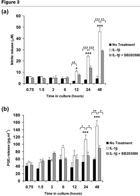 Figure 3DiscussionIL-1β plays a pivotal role in both the pathogenesis of OA and