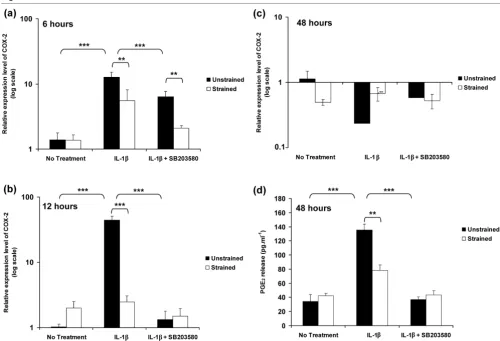 Figure 5Dynamic compression inhibits IL-1Dynamic compression inhibits IL-1β induced COX-2 expression and production of PGEβ induced COX-2 expression and production of PGE2 release2 releaseon (a,b,c) COX-2 expression and (d) PGEproduction in unstrained and strained constructs cultured under no treatment conditions or with 10 ng/