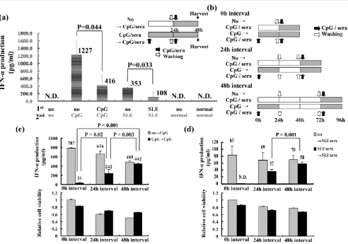 Figure 4TLR9 tolerance in pDCsTLR9 tolerance in pDCs. (a) Repeated treatment with CpG ODN2216 and systemic lupus erythematosus (SLE) serum reduced interferon (IFN)-α production