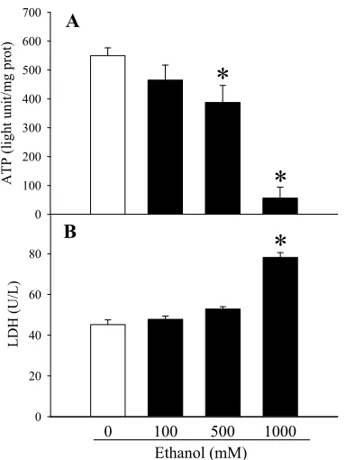 Figure 2  Alterations in CYP2E1ethanol-treated H-4-II-E cells. The expression of CYP2E1with 0, 100, 500, or 1000 mM ethanol for 24 h