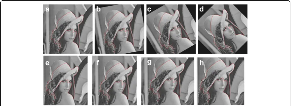 Fig. 4 Iterative results of geometric contour model for different types of images.image