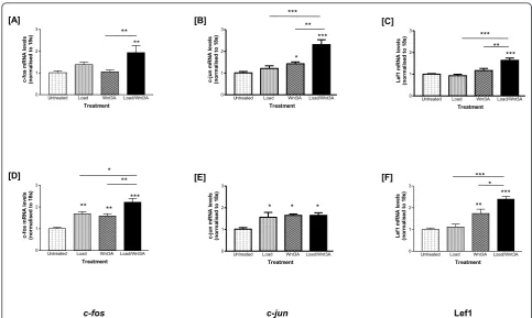 Figure 2 Effects of tensile strain and Wnt3A, separately or combined, on chondrocyte early response gene transcription