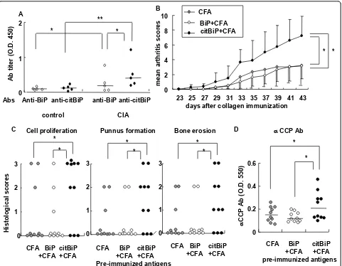 Figure 4 Pre-immunization of citBiP, and not native BiP, exacerbated collagen-induced arthritis (CIA) in mice