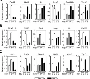 Figure 3 Effects of differentiation and SHP on gene expression in 3T3-L1 cells. 3T3-L1 fibroblasts were induced to  undergo differentiation process with the hormonal cocktail in the absence or presence of SHP transduction (MOI: 50) for two days