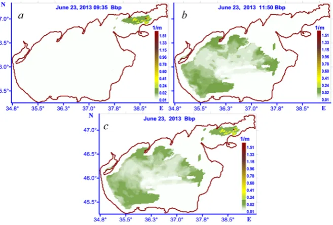Fig. 1. An example of combining the satellite images into one picture. The data of distribution in the Sea of Azov near-surface layer on June 23, 2013: bbp(555) parameter a – at 9:35 a