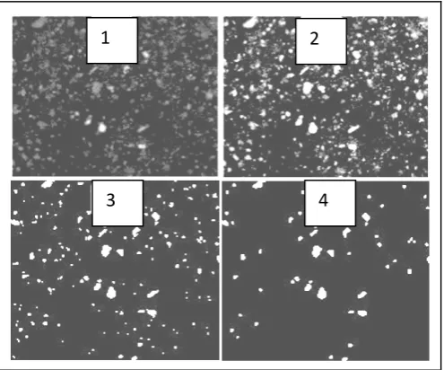 Fig. 2. Stages of processing of the images obtained: result; 1 – original image; 2 – image pre-processing 3, 4 – image after segmentation and filtration   