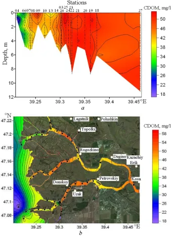 Fig. 1.  CDOM vertical distribution on the section that goes along the southern stream of the Don River (a) and at the bottom distribution in the Don estuary (b) on June 15, 2015  