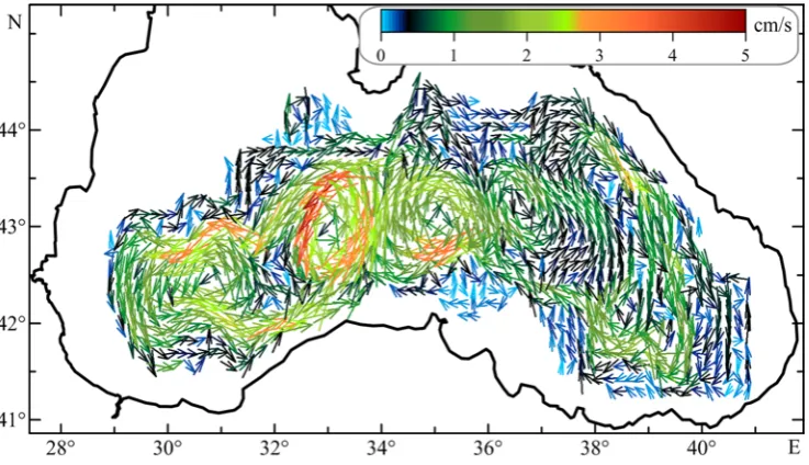 Fig. 1. Climatic currents of the Black Sea on May, 30 on 1500 m horizon (Experiment I)  