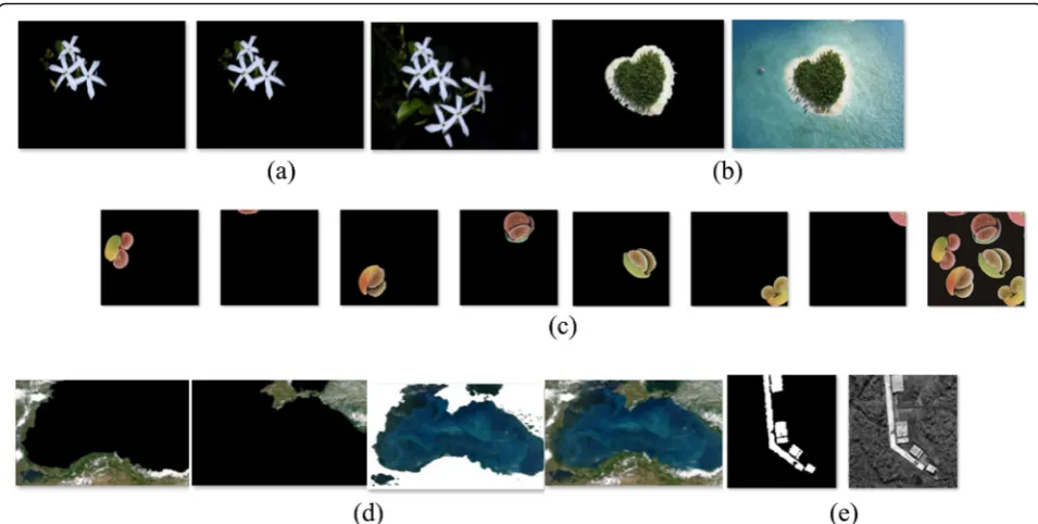Fig. 9 Examples of segmentation results.result. a Plant-image segmentation result. b Island-image segmentation result