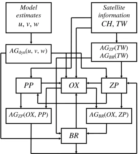 Fig. 1. Conceptual model of the sea upper layer ecosystem   
