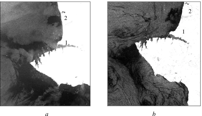 Fig. 6. Fragments of the the radar signal low dispersion in the area of the intense river runoff on May, 21 (2015 Sentinel-1 satellite radar image including the examples of the monitoring of a) and July, 9 (b), During the flow of the waters the surface-active substances get from the land 