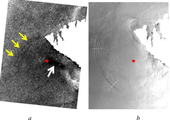 Fig. 9. Example of the anomaly monitoring in the sea surface in the area of the Sevastopol deep sea sewer in the Sentinel-1satellite radar image dated August, 6, 2015 (a) and in the Landsat-8 satellite optical image (close infrared channel) dated June, 22, 2015 (b)  