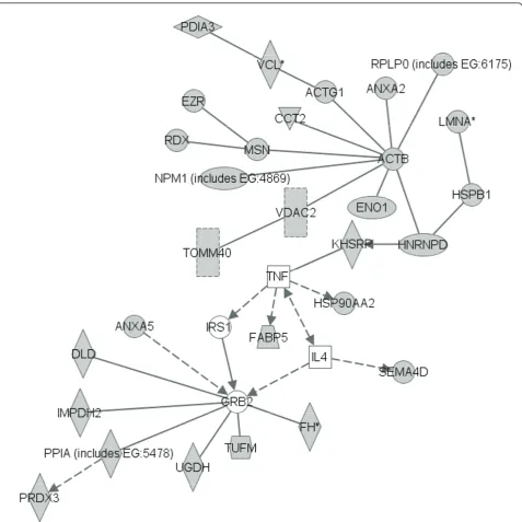 Figure 6 Pathway generated by ingenuity pathway analysis with proteins identified as specific target antigensfactor receptor-bound protein 2; HNRNPD: heterogeneous nuclear ribonucleoprotein D; HSP90AA2: heat shock protein 90member 2; HSPB1: HSPB1: heat sho