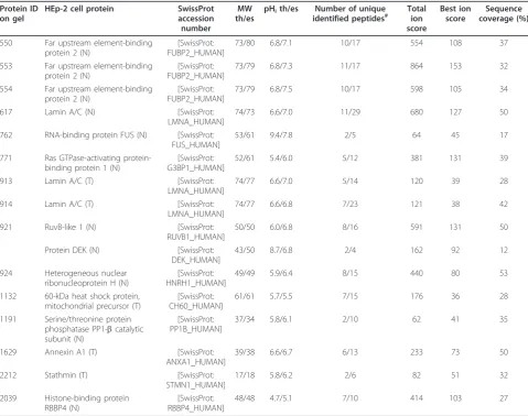 Table 3 Proteins specifically recognised by IgG from at least four pools of patients with unidentified ANA