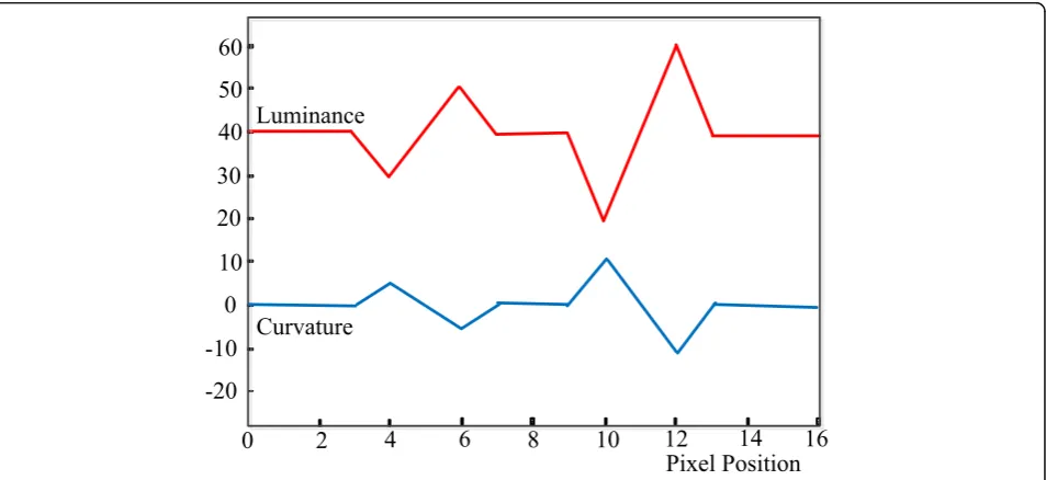 Fig. 4 Luminance value and curvature