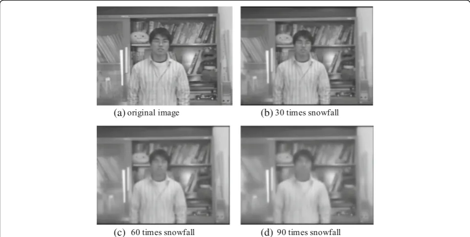 Fig. 5 Calculation in image processing of snowfall
