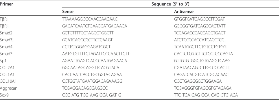 Table 1 Primer sequences for the present study